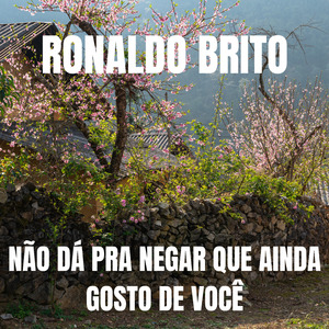 NÃO DÁ PRA NEGAR QUE AINDA GOSTO DE VOCÊ