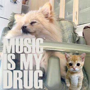 meio luz, meio trevas