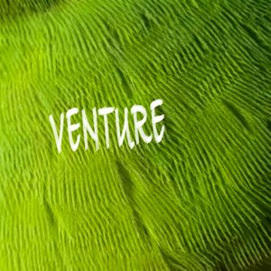 Venture