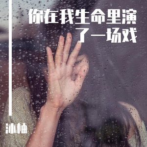 你在我生命里演了一场戏