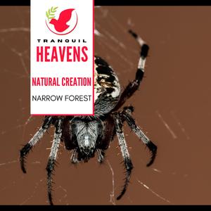 Calming Music of Water Trickling