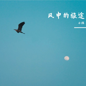 风中的旅途
