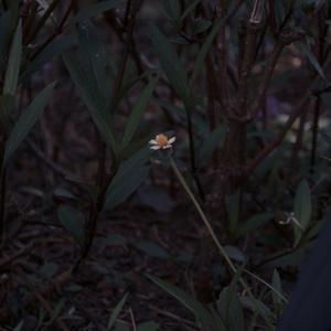 nagbabakasakali kapa ba?