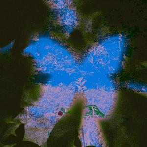 NightQuest