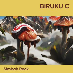 Biruku C