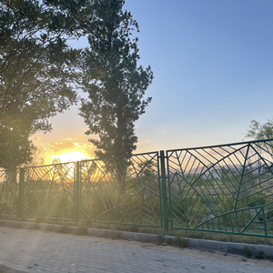 胡萝卜的自白.wav