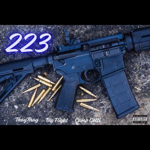 223 (feat. Big Flight & Thay Thay)