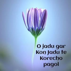 O Jadu Gar Kon Jadu Te Korecho Pagol