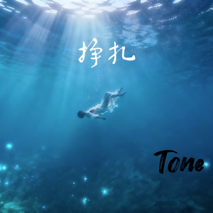 仰望（prod by FRESH_ye）