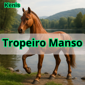 Tropeiro Manso