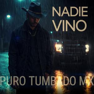 Nadie Vino