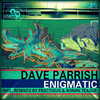 Dave Parrish - Enigmatic (Original Mix)