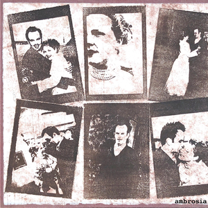 Ambrosia