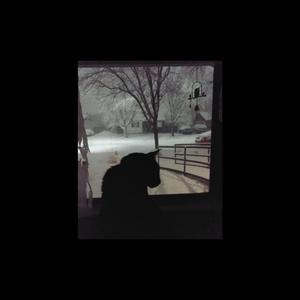 Capricornus (Eye in the Center of the Goat)