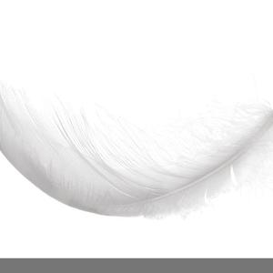 打往天堂的电话