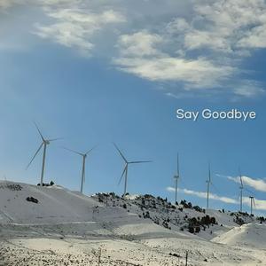 Like the Sand Blows By