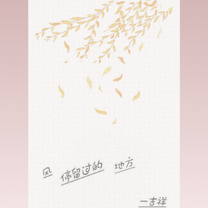 风停留过的地方