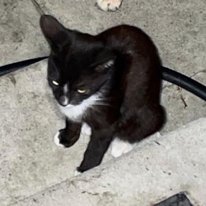 Rainy Days Were Always The Worst