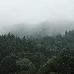 大山（翻自 木子琪pixar）