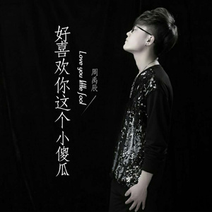好喜欢你这个小傻瓜