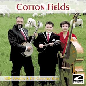 Cotton Fields