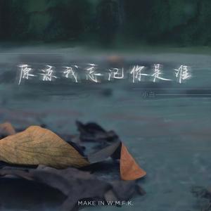 原谅我忘记你是谁 伴奏