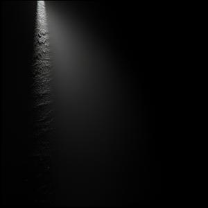 Тёмная ночь (Dark Is the Night)