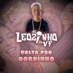 Mc Leozinho da VF (VOLTA PRO GORDINHO (DJ Tavinho)