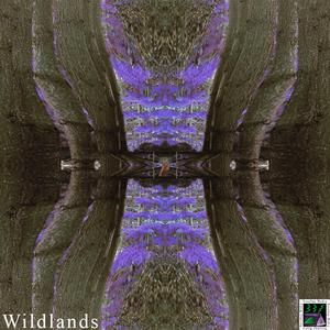 Wildlands