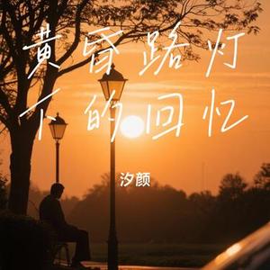黄昏路灯下的回忆