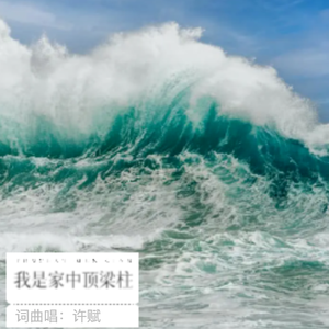 我是家中顶梁柱