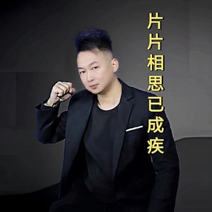 片片相思已成疾