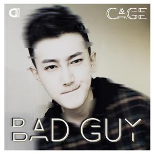 Bad Guy