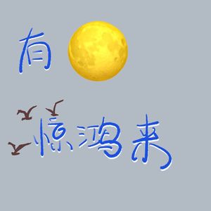 有月惊鸿来