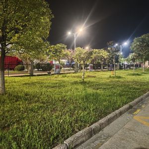 风过林梢叶轻摇