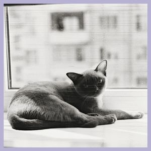 Очередной занудный день