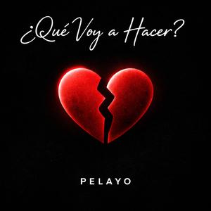 ¿Qué Voy a Hacer?