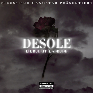 Desole