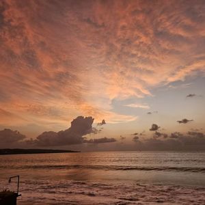 结冰的汉江上有猫在走