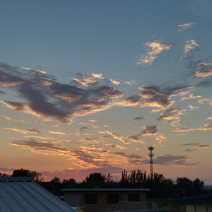 蝶儿总在空中飞