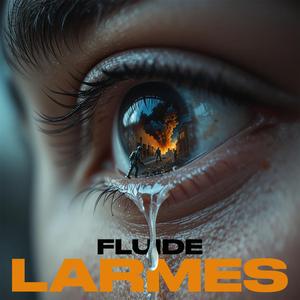 LARMES