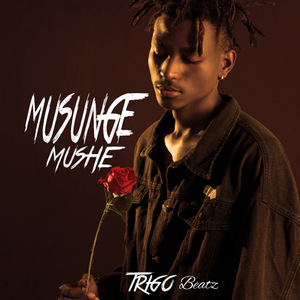 Musunge Mushe