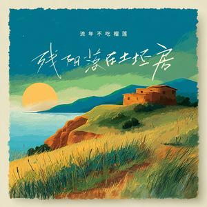 残阳落在土坯房