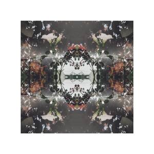 La Vida Material de los Hombres