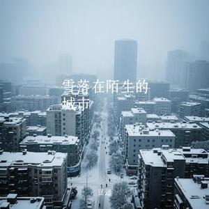 雪落在陌生的城市 (Cover 李林夕)