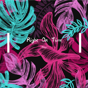 Chris Lawyer-Right On Time（7Days remix）