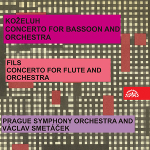 Concerto for Flute and Orchestra in D-Sharp Major, .: I. Allegro