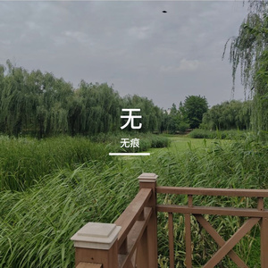 青春的晴朗篇章