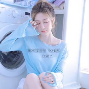 新欢渡旧爱（DJ版）