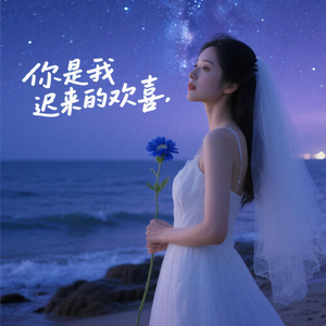 你是我迟来的欢喜